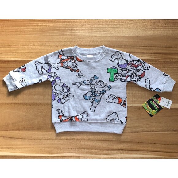 Nickelodeon Other - Nickelodeon Teenage Mutant Ninja Turtles Kids Sweatshirt Gray Graphic Design 2T